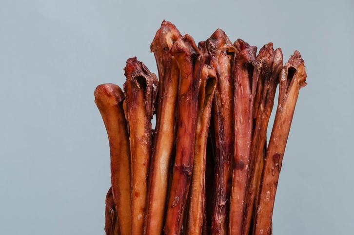 Happy Dog Enjoying a Bully Stick - Natural Chew for Healthy Teeth